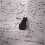 Gatos malvados