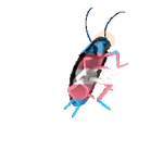 Transgender 🏳️‍⚧️