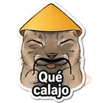 CALAJO ˵> ˕ <˵