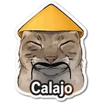CALAJO ˵> ˕ <˵