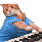 🐈🐱 Gatos Memes Michis 🐱🐈