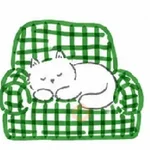 🧿 Gato Relax🐱🐈