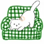 🧿 Gato Relax🐱🐈