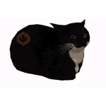 GATOS Gifs
