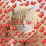 🥰 Amor para regalar #➋