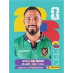 Stickers del Mundial 2026 Ecuador 🇪🇨