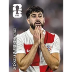 Stickers del Mundial 2026 Especiales 💎
