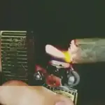 Marijuana Anime#7