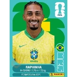 Album Brasil mundial 2026 😎