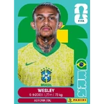 Album Brasil mundial 2026 😎