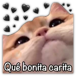 GATO CON FRASES PARA LIGAR