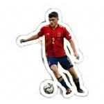 España equipo 😁🦈⚽️