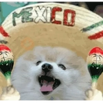 México festejo mundial 26