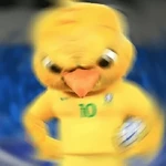 🇧🇷✨ VAI BRASIL 🇧🇷✨