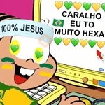 🇧🇷✨ VAI BRASIL 🇧🇷✨