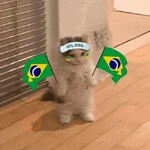 bora brasil 🇧🇷💚💛