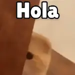 Colombianos Costeños