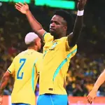 Seleção 🇧🇷 pra comemorar