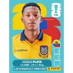 Ecuador Fútbol ⚽️Estampas