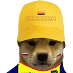 selección Ecuador