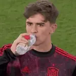 Melhores reações dos jogadores