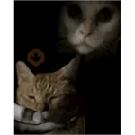 My stickers