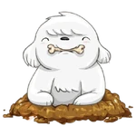 cute dog