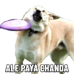 Memes