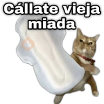 ✨Memes mix 10🪄🔥