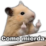 ✨Memes mix 10🪄🔥