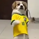 🇧🇷🔊🕺🏻PASO DE JAMAL💃🏻🔊🇧🇷