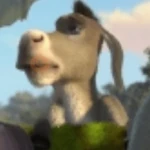 Burro do Shrek