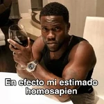 🍷🗿 MEMES ELEGANTES 🗿🍷