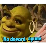Shrek 💚