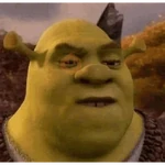 shrek | reações