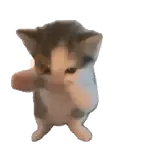 🐈‍⬛🐱🧶 GATOS | CATS 4 🧶🐱🐈‍⬛