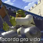 shrek respondão