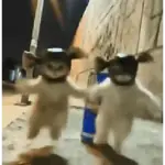 TIKTOK 🔥RAMDONS PA MI 🔥