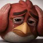 angry birds👂2💎Memes🔥