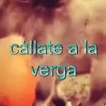✨️🎵📋 • FRASES TIKTOK • 📋🎵✨️