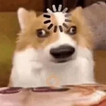 🫯🫪 WTF - OMG [Mood] 🫪🫯