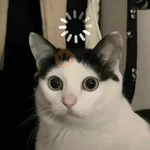 🫯🫪 WTF - OMG [Mood] 🫪🫯