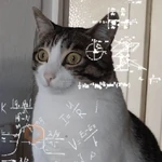 🫯🫪 WTF - OMG [Mood] 🫪🫯