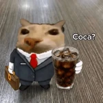 🛟 Random pal chat 💬😎 20