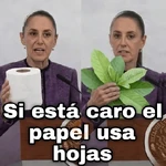 Claudia sheinbaum 2🇲🇽 memes