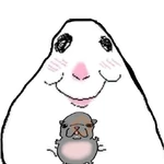 🐭🐀 Hamster 6 🐭🐀
