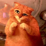 Gato de Botas 😼 Shrek