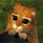 Gato de Botas 😼 Shrek