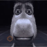 BURRO SHREK