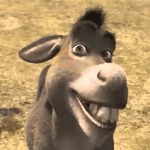 BURRO SHREK